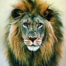 King